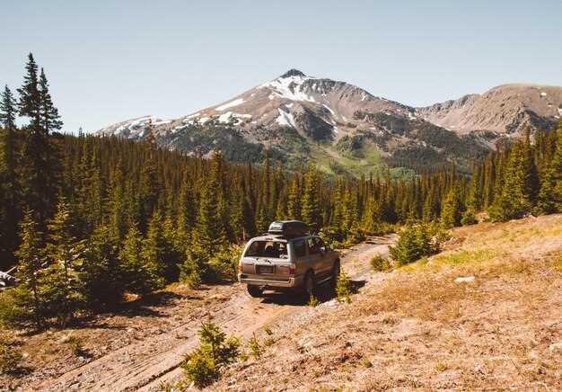 Maximizing Storage Capacity: Accessories for Your Roof Rack