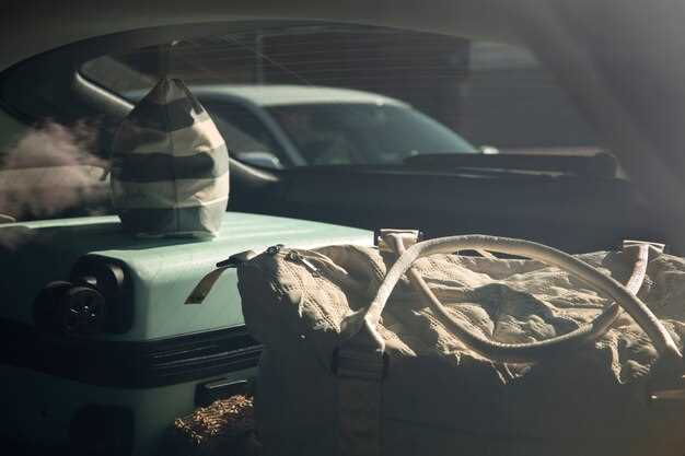 Choosing the Right Oil and Filters for Optimal Performance