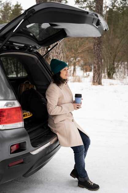 Ensuring Optimal Fluid Levels in Winter