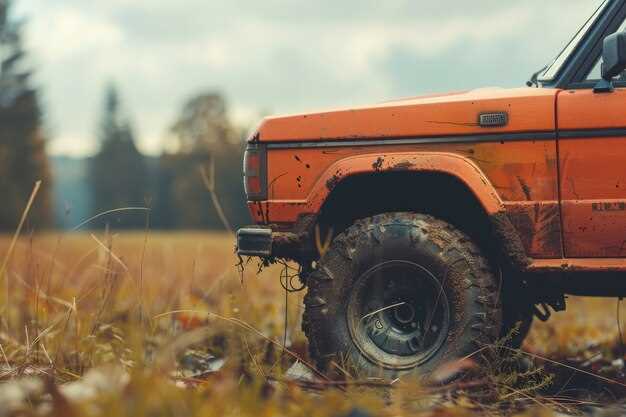 Step-by-Step Installation Process for Fender Flares