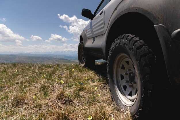 Top Tires for Land Cruiser Overland Adventures